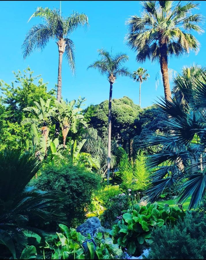 Home For 2 Few Steps From Casino Monte Carlo And Beach Beausoleil Extérieur photo
